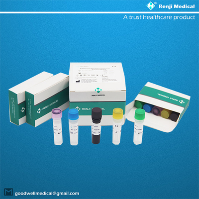 کیت تشخیص اسید نوکلئیک ویروس آبله میمون (MPV) (روش Real-time PCR)