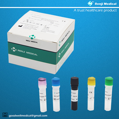 کیت تشخیص اسید نوکلئیک ویروس آبله میمون (MPV) (روش Real-time PCR)