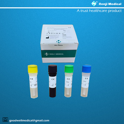 کیت تست نوکلئیک اسید نوکلئیک ویروس کرونا کووید-19 تست CE کیفی Rt Pcr